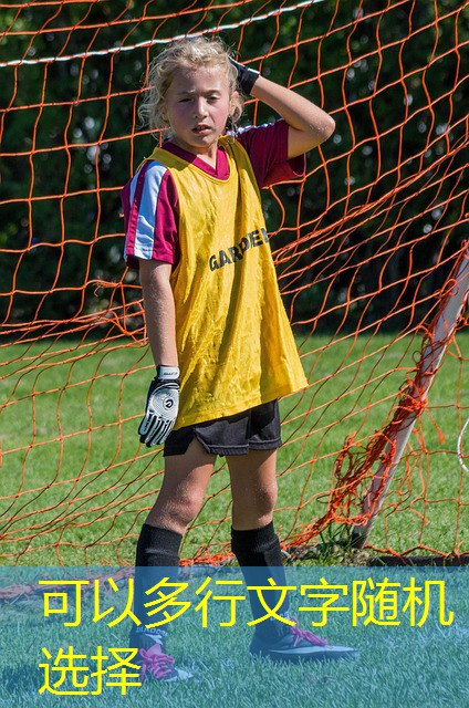 jogo de bingo gratis cassino brasil