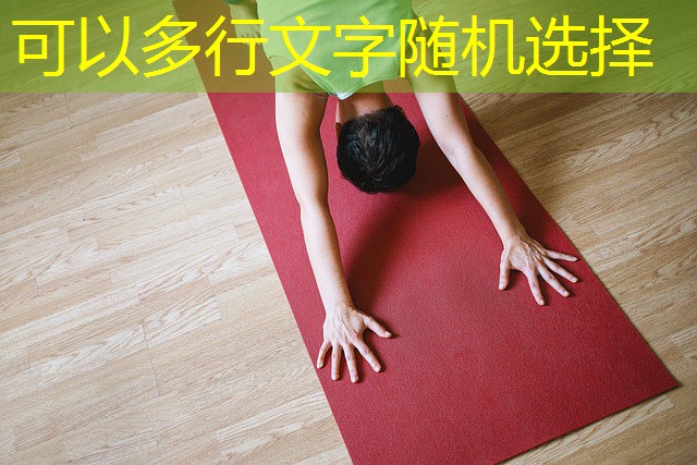 mr beast jogo cassino