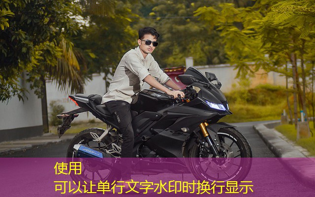 mr beast jogo cassino