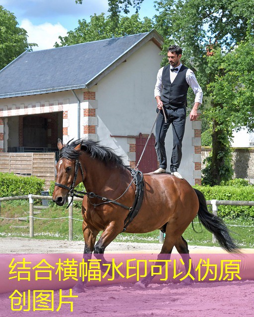 melhores horarios para jogar cassino