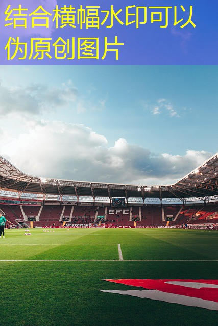 jogada final 007 cassino royale