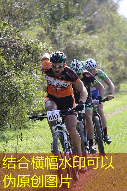 rivalo qual o melhor jogo do cassino para se apostar rivalo qual o melhor jogo do cassino para se apostar