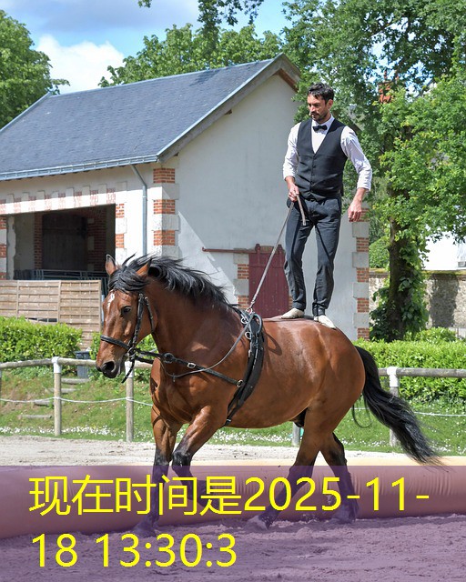 melhor jogo de cassino para android