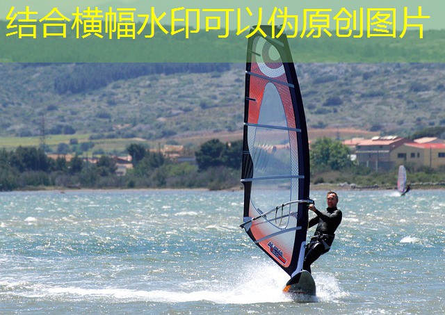 especialista jogo professor cassino