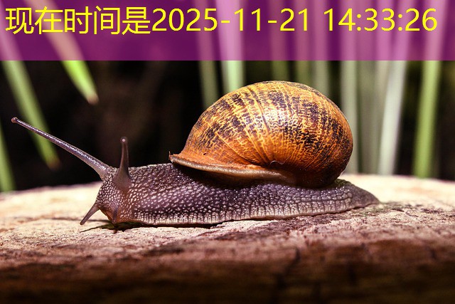 mini jogo roleta cassino