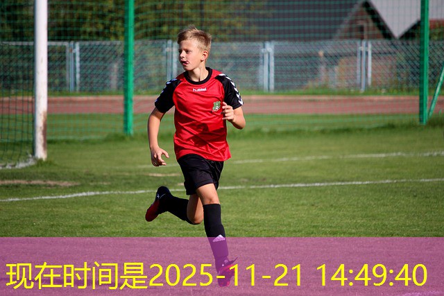 jogo de bingo gratis cassino brasil