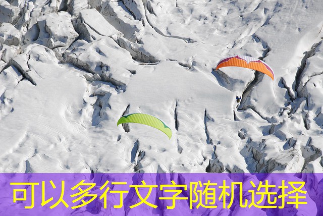 cassino bingo e jogo do bicho