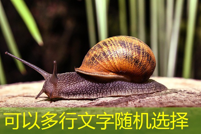 jogar bingo gratis cassino brasil jogar bingo gratis cassino brasil